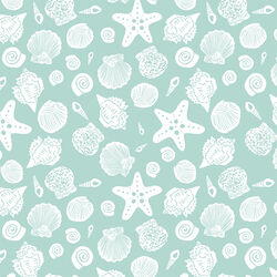 Sea Shells in Surf