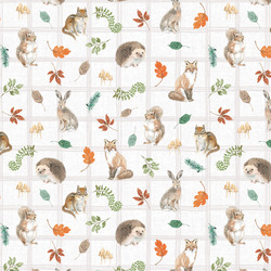 Animals in White