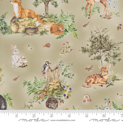 Woodland Tales Beneath the Trees in Sage