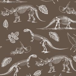 Fossils in Timber