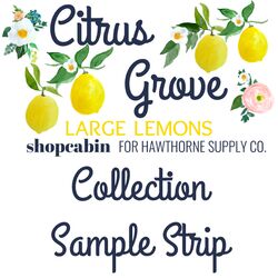 Citrus Grove Sample Strip in Large Lemons