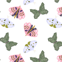 Butterflies in White