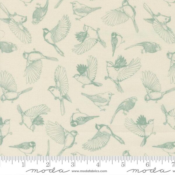 Flock of Feathers in Cloud