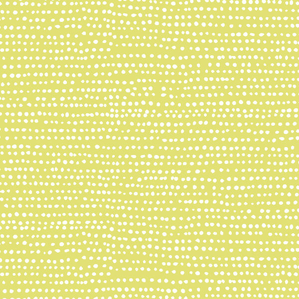 Moonscape in Endive