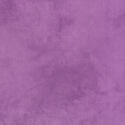 Palette in Orchid