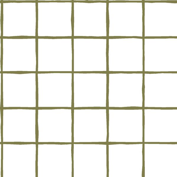Windowpane in Jungle on White