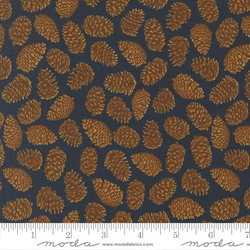 Pinecones in Midnight