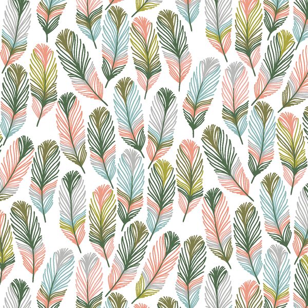 Feathers in Meadow
