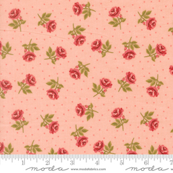 Roses Are Red in Blush