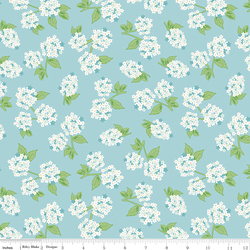Hydrangeas in Aqua