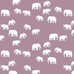 Elephant Silhouette in Celestial