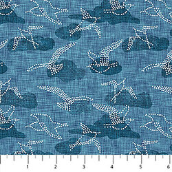 Seagulls in Navy