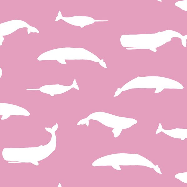 Whale Silhouette in Begonia