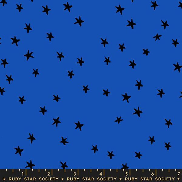 Starry in Blue Ribbon