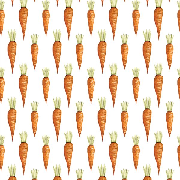 Carrots in White