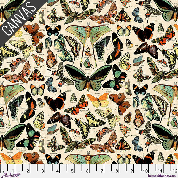 Teal Butterflies Canvas in Teal