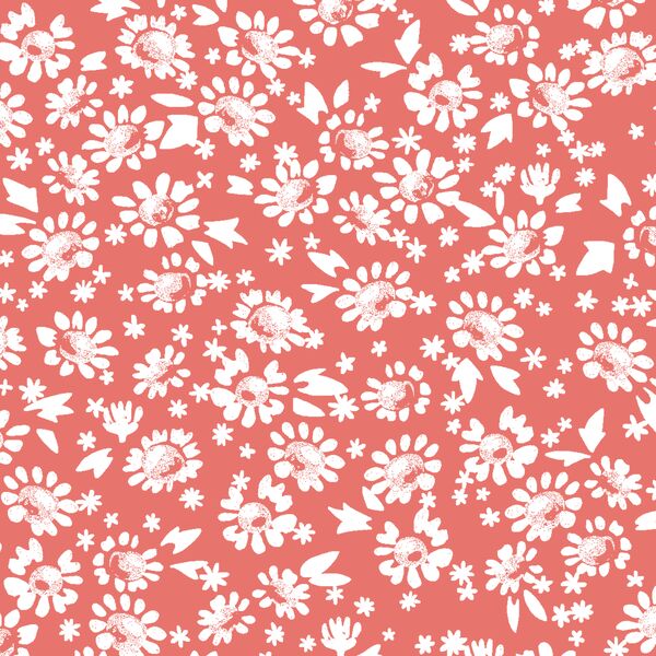 Daisies in Living Coral