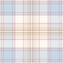 Spring Plaid in Meadow