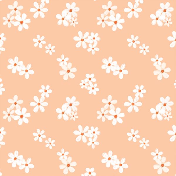 Daisies in Peach