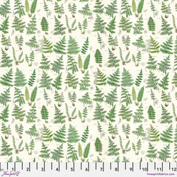 Ferns in Green