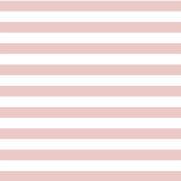 Horizontal Candy Stripe in Blush