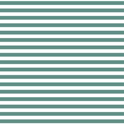 Horizontal Dress Stripe in Agate