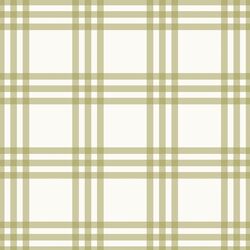 Triple Check in Olive