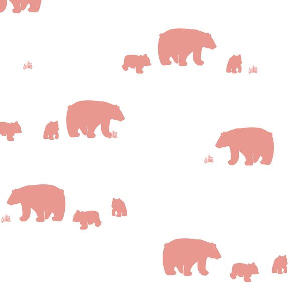 Bear Silhouette in Tulip