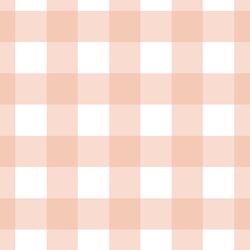 Large Gingham in Muted Peach