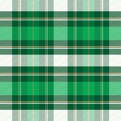 Plaid in Evergreen