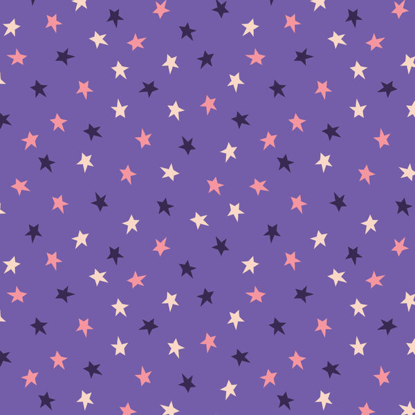 Starry Sky in Night
