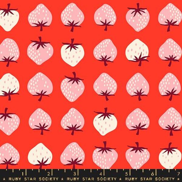 Strawberry in Lollipop