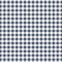 Little Gingham in Navy