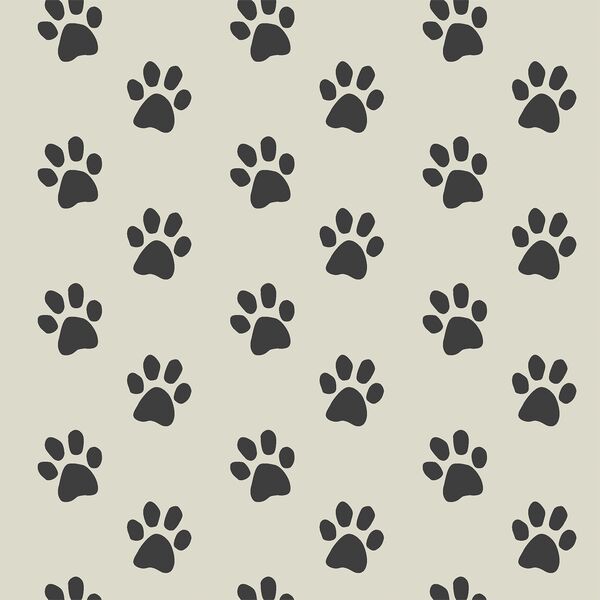 Pawprints in French Gray