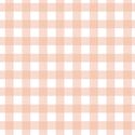 Gingham in Muted Peach