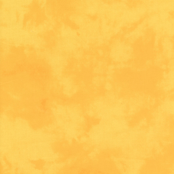 Palette in Canary