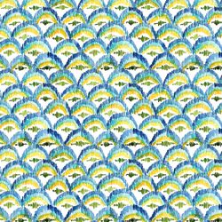 Shells in Paradise