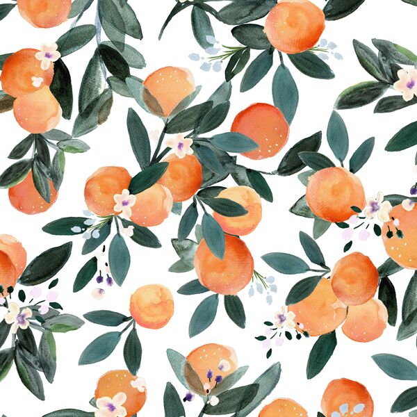 Dear Clementine in White