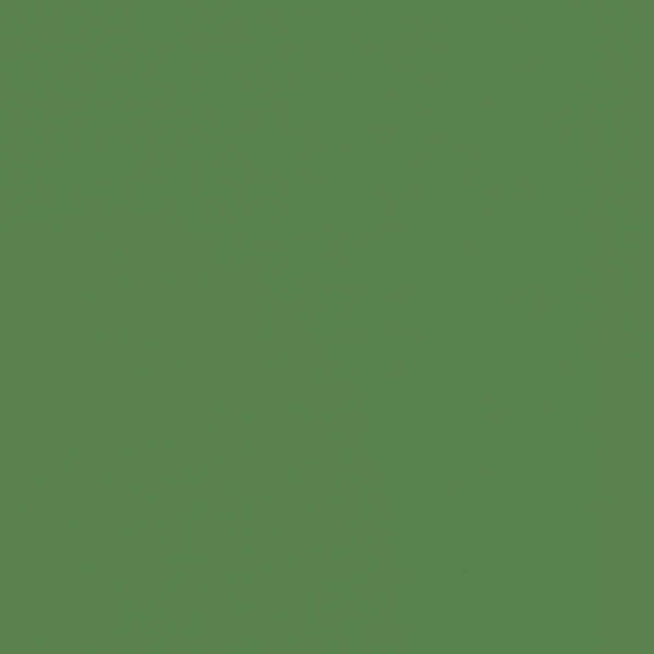 Free Spirit Designer Solid in Grass