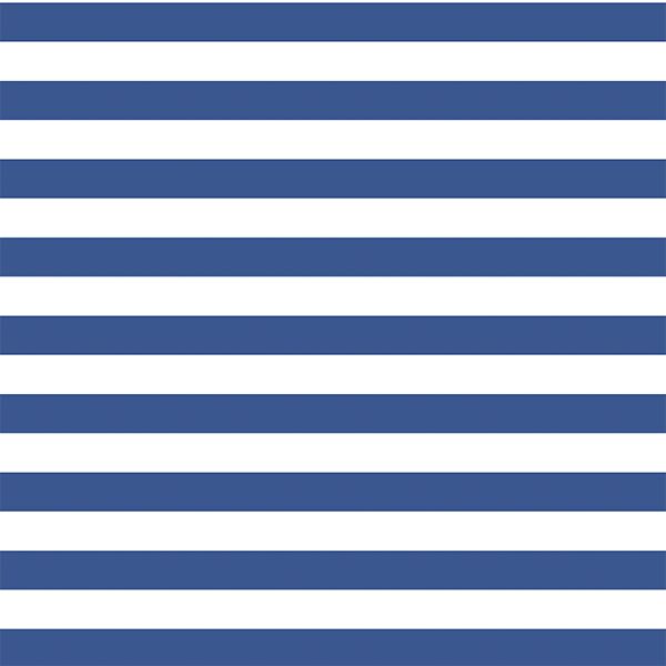 Horizontal Candy Stripe in Blue Jay