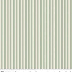 1/8" Stripe in Sage on Ivory