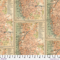 Map in Orange