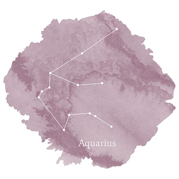 Aquarius Sign Panel in Celestial