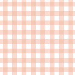Gingham in Muted Peach