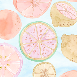 Large Citrus Fruit in Summer Blue