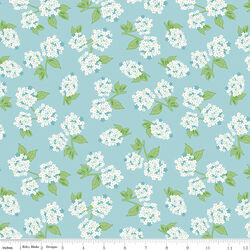 Hydrangeas in Aqua