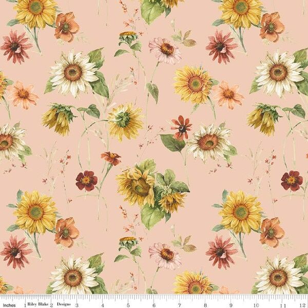 Sunflowers in Blush