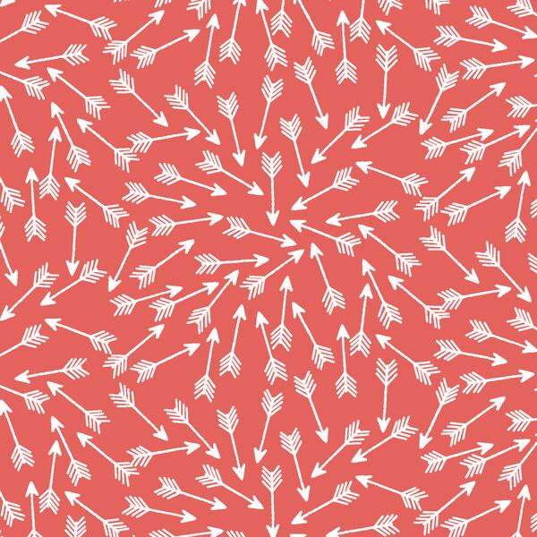 Arrows in Salmon
