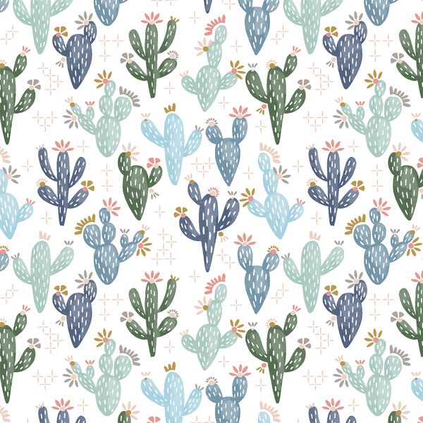 Succulents in White