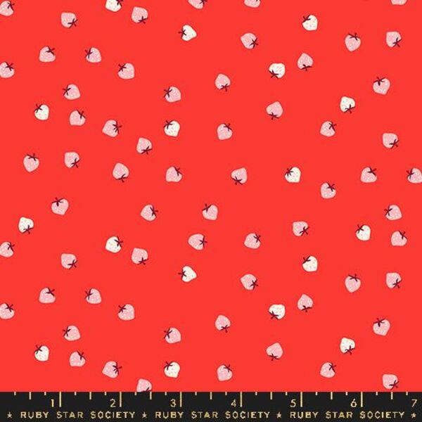 Mini Berry in Lollipop